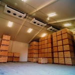 Veiling Haspengouw betreurt dodelijk arbeidsongeval