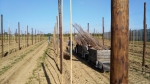 Nauwelijks lastenverlichting voor fruitsector