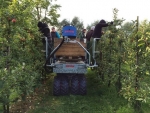 Meer agrariërs moeten werken aan veilig bedrijf