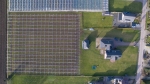 Drones ingezet tegen uitbraak suzuki-fruitvliegplaag