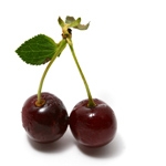 Polen is