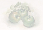 Stijgende appel- en fruitprijzen in Polen