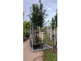 heftrucks stapelaars palletwagens Transportrekken