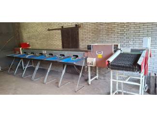 Tesso sorteermachine te koop