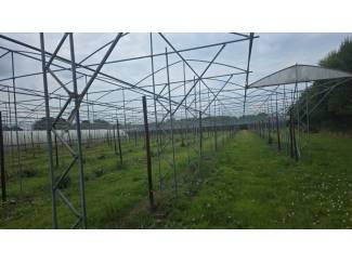 Kersen Frame voor 1,2 HA kersenkap