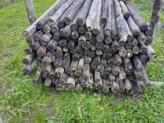 Boompalen te koop aangeboden