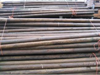 BOOMPALEN TE KOOP VELE LENGTE EN DIKTE