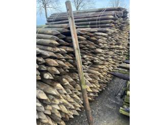 Te koop gefreesde geimpregneerd gepunte boompalen