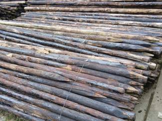 boompalen en toebehoren Te koop 300 houten palen van gemiddeld 10 cm dik.