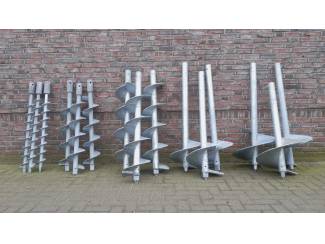 Plantgatboren , Paalgatboren