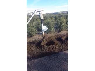 Appelbomen Plantgatboren , Paalgatboren