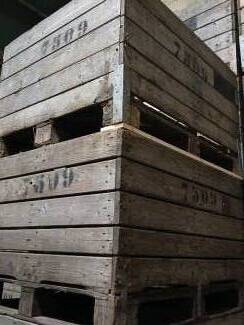 voorraadkisten Te koop gebruikte fruitkisten 1,00 x 1,20 x 0,75