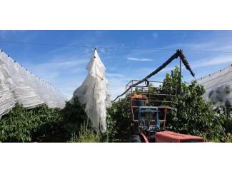 boompalen en toebehoren Kersenoverkapping en toebehoren