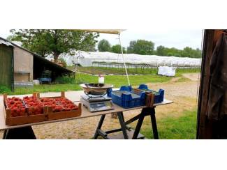 boompalen en toebehoren Kersenoverkapping en toebehoren