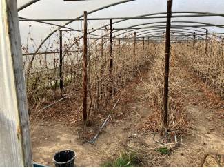 kassen en boogkassen Tunnelkassen