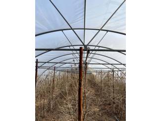 kassen en boogkassen Tunnelkassen