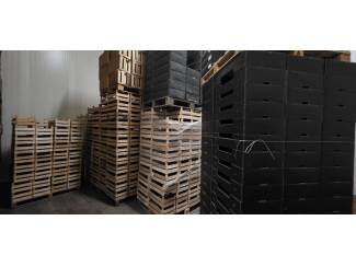 voorraadkisten Peren kratten en dozen