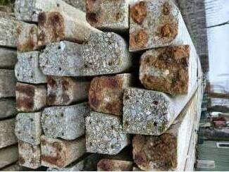 Betonpalen 800 stuks.