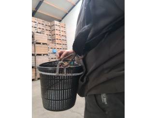 plukmanden plukslede pluktrappen plukmandjes voor kersen