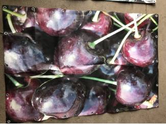 Kersen Diverse tuinposters kersen, bloesem