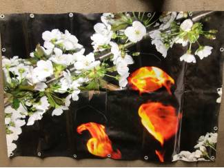 Kersen Diverse tuinposters kersen, bloesem