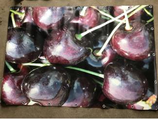 Diverse tuinposters kersen, bloesem