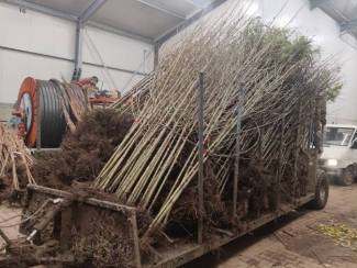 aanhangwagens 6 Tons Platformkar met stuuras