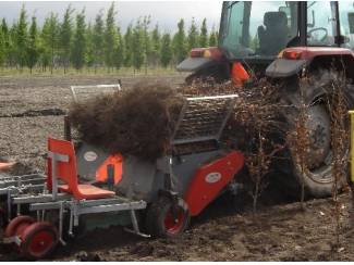 Appelbomen Sleuvenfrees Plantmachine