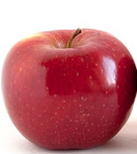 Duitse fruittelers houden appeloogst op gelijk niveau
