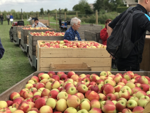 "Geen coating op appels en peren uit Nederland"