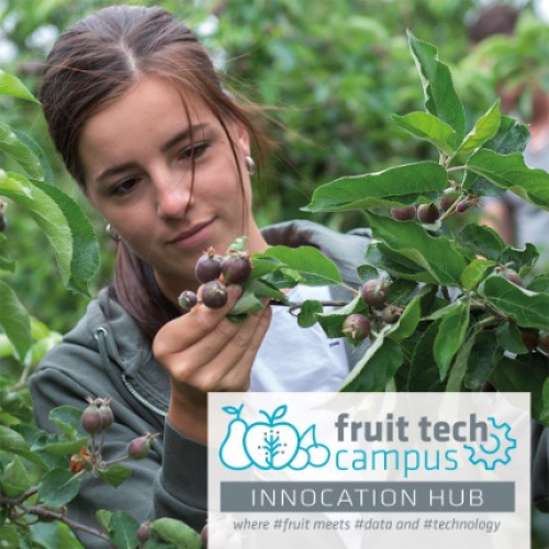 "Wat het World Horti Center en TomatoWorld zijn voor vruchtgroenten, wordt de Fruit Tech Campus voor fruit"