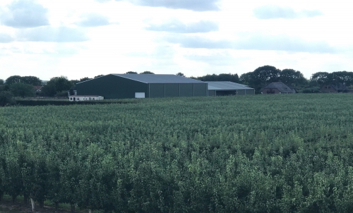 Fruittelers hebben zorgen over toekomst van hun bedrijf