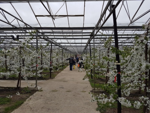 Stijgende kostprijs blijft grote uitdaging voor tuinbouwsector