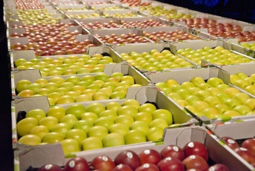 "Met de consumptie van 20 jaar geleden hadden we nu een goed appelseizoen gehad"