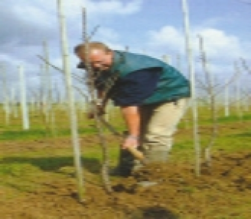 Franse overheid investeert miljoenen in groente- en fruitsector