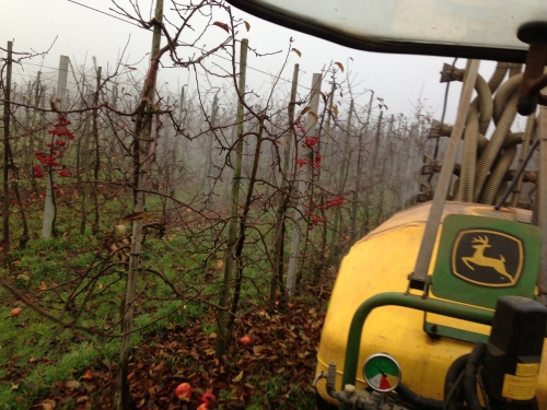 Groot verlies voor fruitteelt door verbod op gewasbescherming in GWB-gebieden