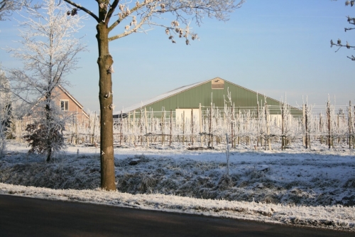 Fruitteeltsector richt taskforce op voor impuls middelenpakket
