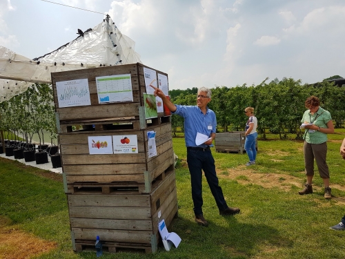 Zonovergoten open dag FRC Randwijk