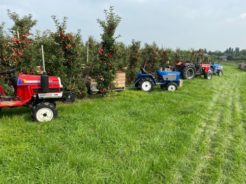 Mariola (60) komt al 26 jaar fruit plukken in Zeeland. Steeds minder van haar landgenoten hebben daar zin in