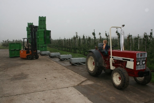 Vertrouwensindex land- en tuinbouw licht gedaald in tweede kwartaal 2025