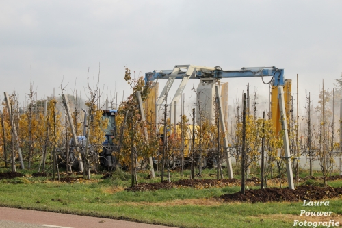 Minister moet belanghebbenden inzage geven in gebruik van bestrijdingsmiddelen