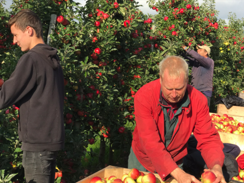 Zorgen fruittelers over 