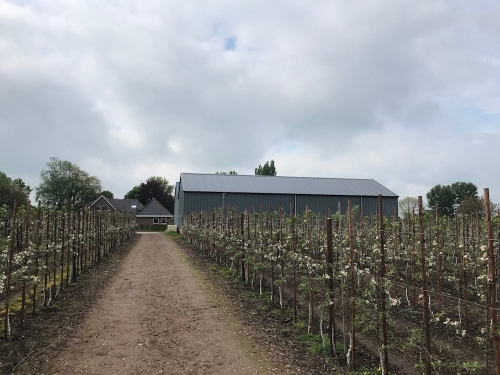Fruittelers in Buren vrezen voor middelenvrije zone van 50 meter