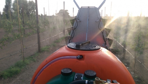 Vrijstellingen in België en een toelichting op de Taskforce-keuzes omtrent Movento