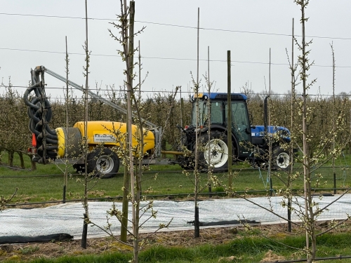 NFO: Nederland kent klein aantal vrijstellingen middelen