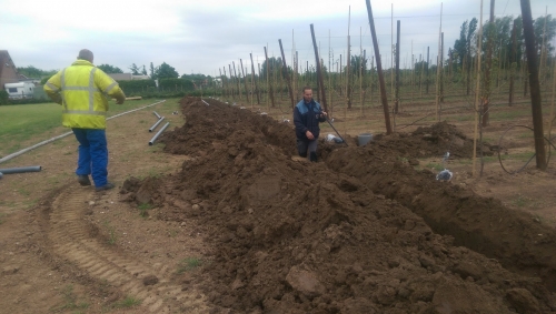 Landbouwgrond passeert grens van 100.000 euro per hectare
