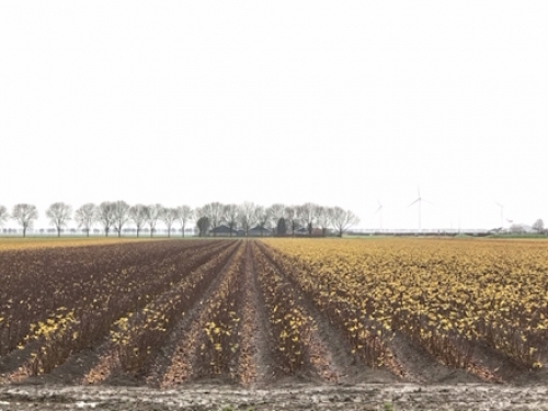 Teeltvrije zone bij gebruik handmatige rugspuit ten minste 1,5 meter