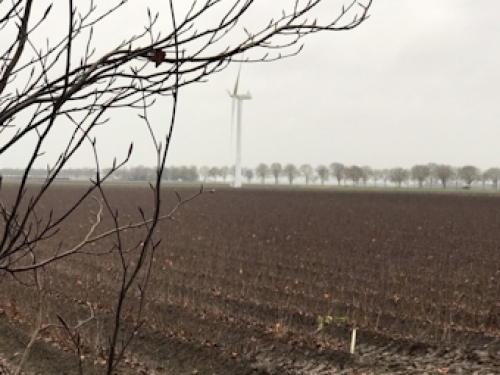 Met name grote landbouwbedrijven investeren in grond