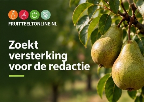 Gezocht: freelance nieuwsbriefredacteur/contentcoördinator (± 20 uur per week)