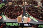 Fruit verpakt in golfkarton blijft langer vers